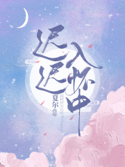 迟迟入怀中小说下载