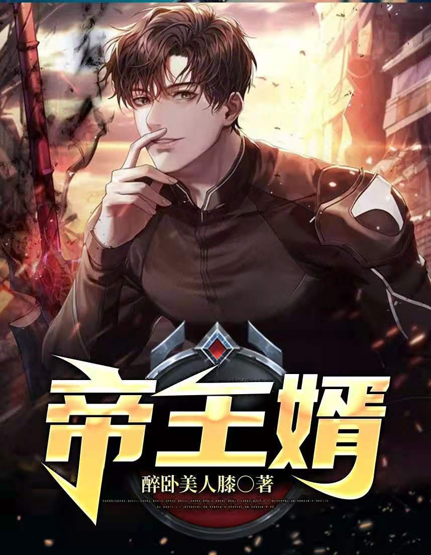 帝王婿txt